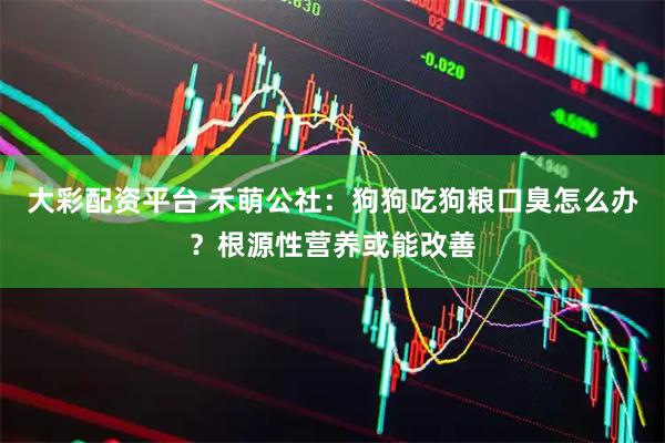 大彩配资平台 禾萌公社：狗狗吃狗粮口臭怎么办？根源性营养或能改善